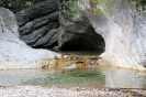 Gardasee_19