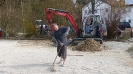 Renovierung Parkplatz_55