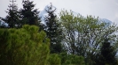 Tennisurlaub Gardasee April_50