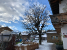 Skifahrt Wildschönau 2023